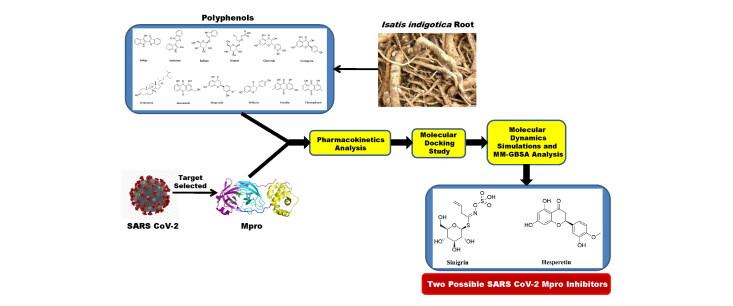 https://cdn.ncbi.nlm.nih.gov/pmc/blobs/9774/7738210/2b5c78a94bf6/TBSD_A_1858164_UF0001_C.jpg