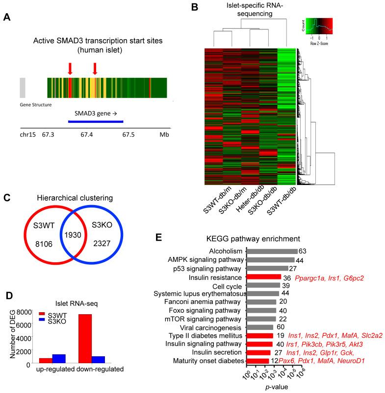 https://cdn.ncbi.nlm.nih.gov/pmc/blobs/9776/7806493/114113e6da11/thnov11p2845g004.jpg