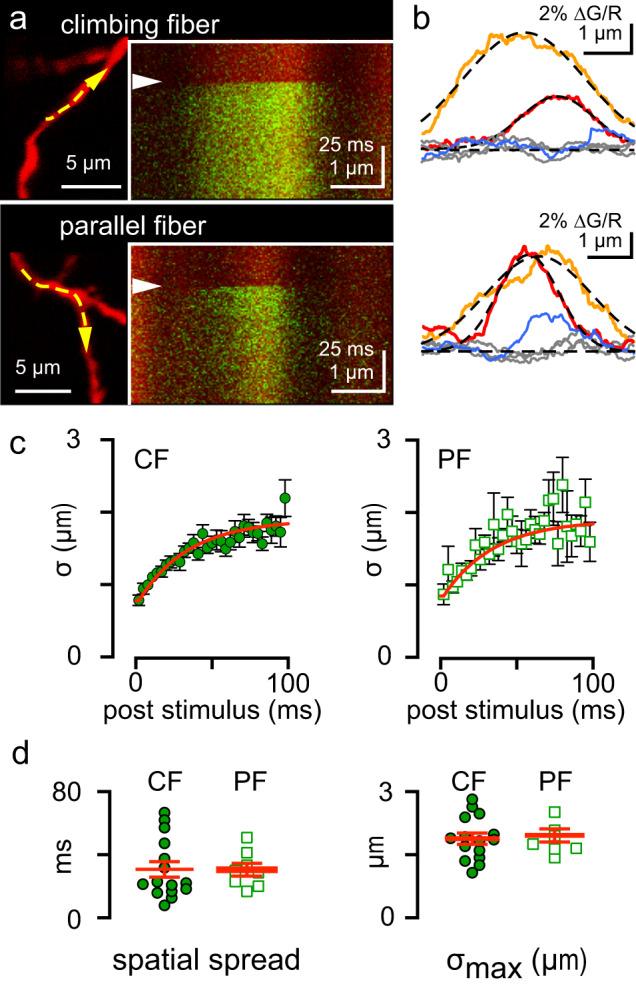 https://cdn.ncbi.nlm.nih.gov/pmc/blobs/9777/10229553/174aae9327df/41467_2023_38854_Fig5_HTML.jpg