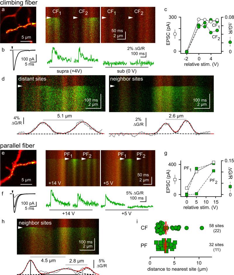 https://cdn.ncbi.nlm.nih.gov/pmc/blobs/9777/10229553/b0c59a2b4d4b/41467_2023_38854_Fig4_HTML.jpg