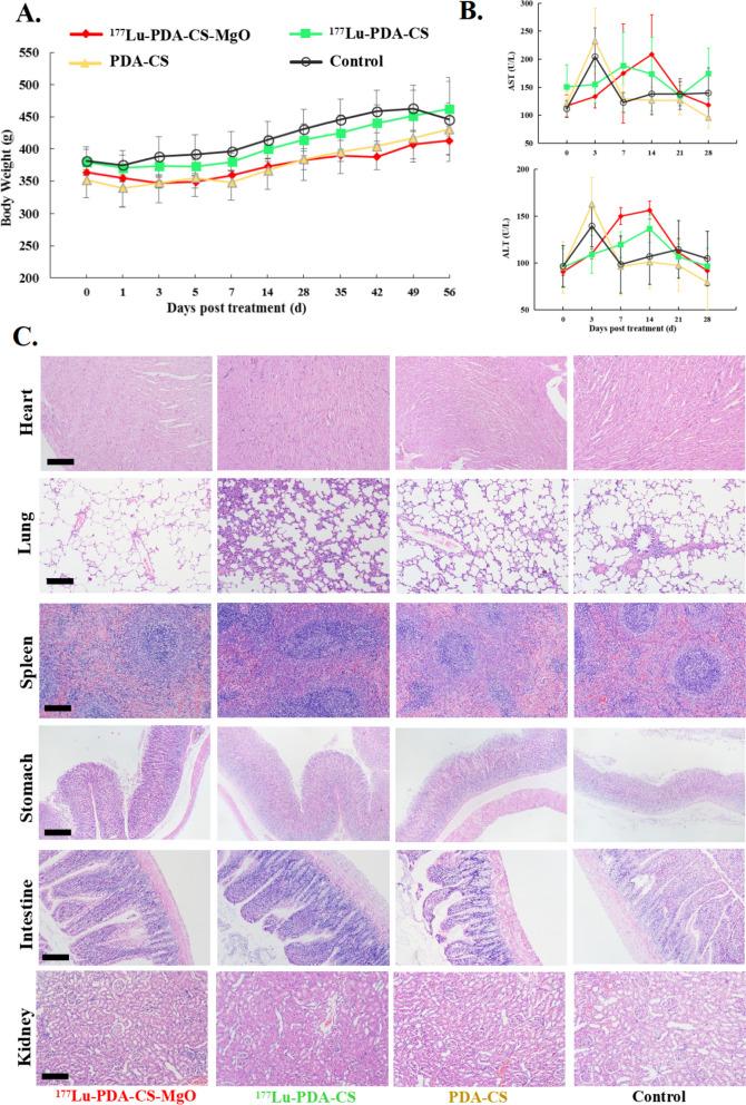 https://cdn.ncbi.nlm.nih.gov/pmc/blobs/9779/10625707/10cd2834f842/40824_2023_455_Fig6_HTML.jpg
