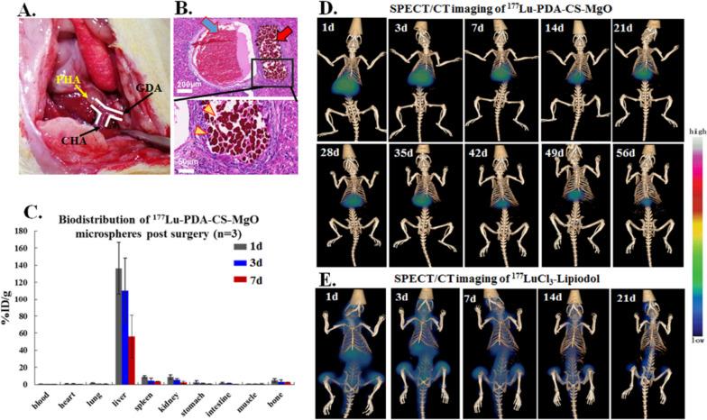 https://cdn.ncbi.nlm.nih.gov/pmc/blobs/9779/10625707/c4b20932dac3/40824_2023_455_Fig4_HTML.jpg