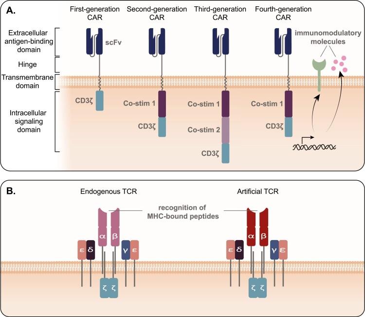 https://cdn.ncbi.nlm.nih.gov/pmc/blobs/9779/9327125/2341e07917f7/ltac005_fig2.jpg