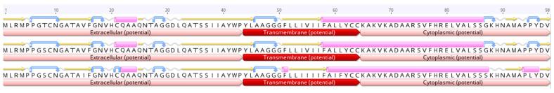 https://cdn.ncbi.nlm.nih.gov/pmc/blobs/977a/11728826/816ba449b001/viruses-16-01966-g005.jpg