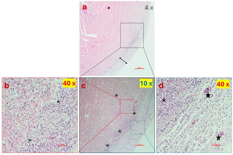 https://cdn.ncbi.nlm.nih.gov/pmc/blobs/977a/11728826/e9d2f31f7ce2/viruses-16-01966-g012.jpg