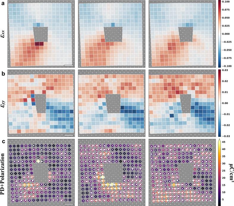 https://cdn.ncbi.nlm.nih.gov/pmc/blobs/977a/9834382/168f97a6c735/41467_2023_35877_Fig5_HTML.jpg