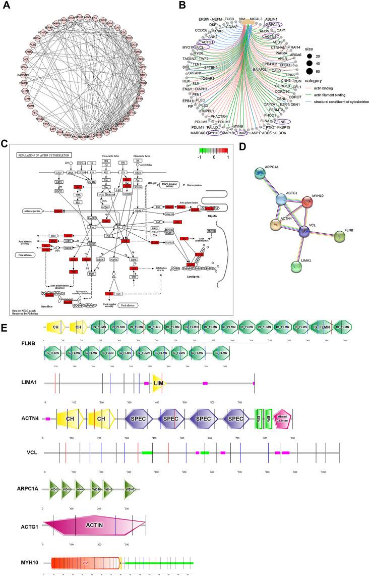 https://cdn.ncbi.nlm.nih.gov/pmc/blobs/977b/12081405/f787c0ee70a3/fcimb-15-1560436-g003.jpg