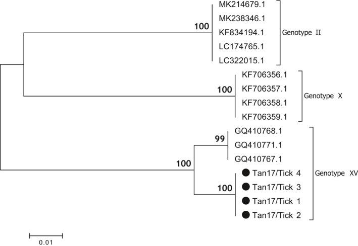 https://cdn.ncbi.nlm.nih.gov/pmc/blobs/977c/8246581/44c39452e7a8/TBED-68-813-g005.jpg