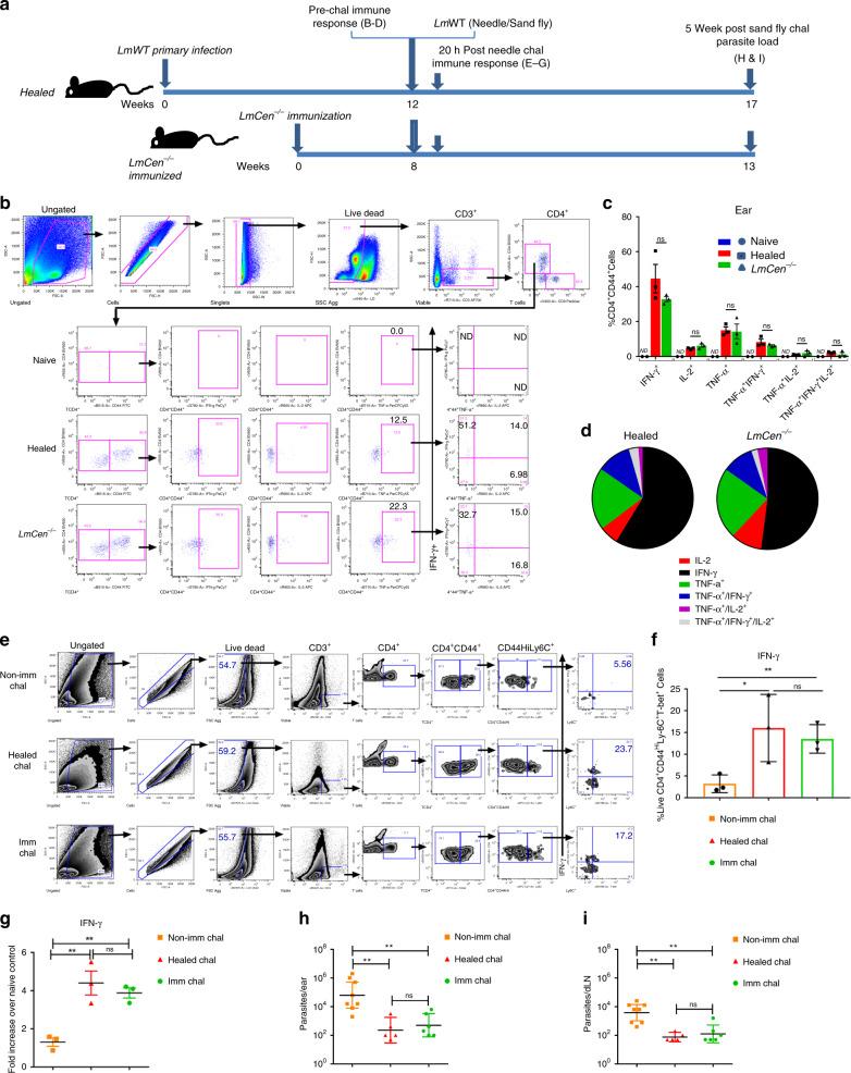 https://cdn.ncbi.nlm.nih.gov/pmc/blobs/9780/7351751/3122ae361a82/41467_2020_17154_Fig6_HTML.jpg