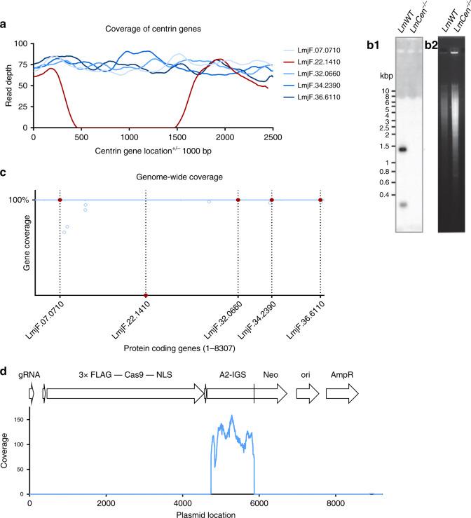 https://cdn.ncbi.nlm.nih.gov/pmc/blobs/9780/7351751/67b263f60039/41467_2020_17154_Fig2_HTML.jpg