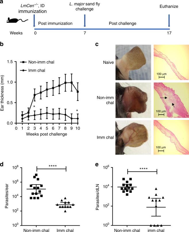 https://cdn.ncbi.nlm.nih.gov/pmc/blobs/9780/7351751/9fac0e81bca0/41467_2020_17154_Fig5_HTML.jpg