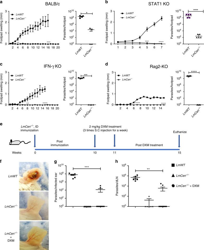 https://cdn.ncbi.nlm.nih.gov/pmc/blobs/9780/7351751/fd0368633512/41467_2020_17154_Fig3_HTML.jpg