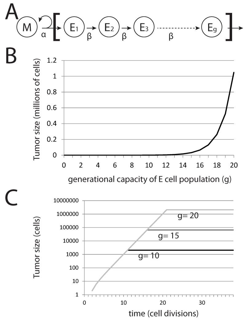 https://cdn.ncbi.nlm.nih.gov/pmc/blobs/9781/5344274/780f8684a78e/biomedicines-02-00384-g006.jpg