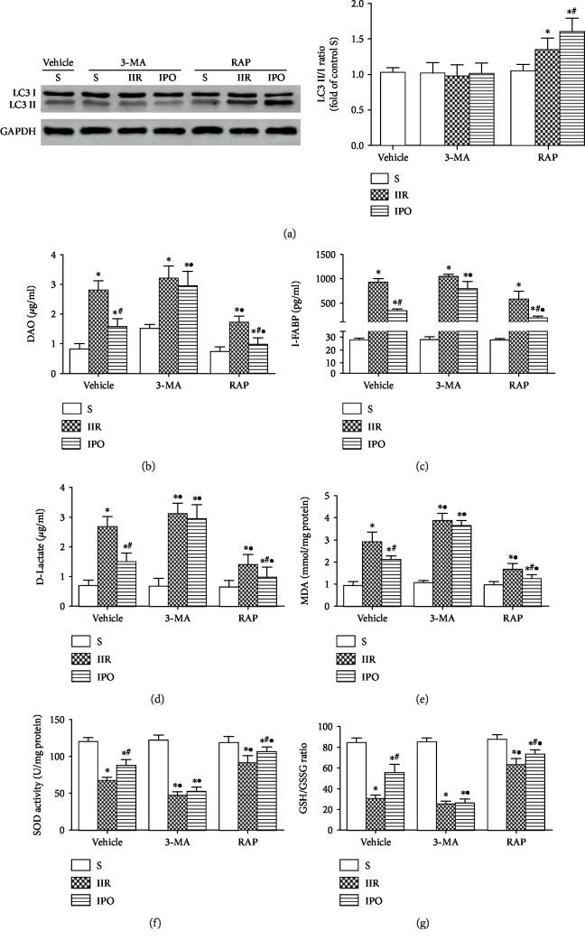 https://cdn.ncbi.nlm.nih.gov/pmc/blobs/9782/7102478/3fe16b4414f4/OMCL2020-6954764.003.jpg