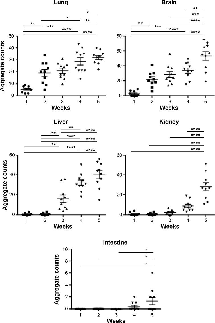 https://cdn.ncbi.nlm.nih.gov/pmc/blobs/9783/4598201/64a495634c09/ijn-10-6133Fig2.jpg
