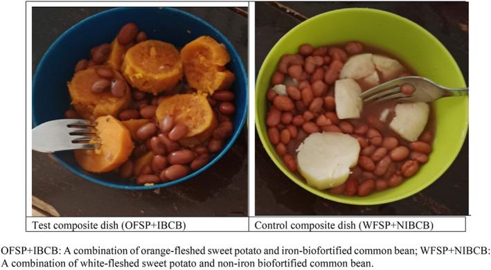 https://cdn.ncbi.nlm.nih.gov/pmc/blobs/9784/11167192/8cf433d59d40/FSN3-12-3949-g003.jpg