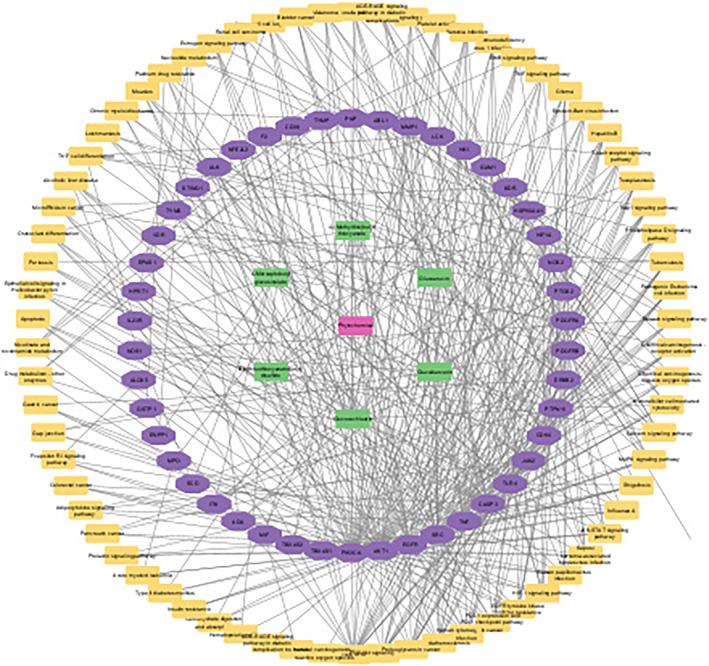 https://cdn.ncbi.nlm.nih.gov/pmc/blobs/9785/11521654/d24b68d38f23/FSN3-12-7331-g010.jpg