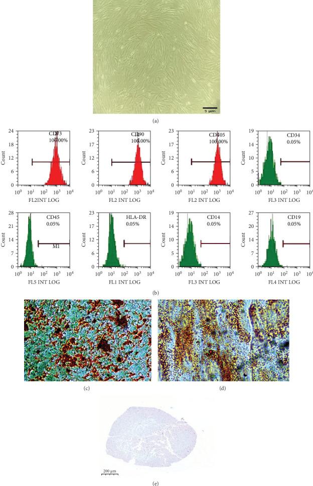 https://cdn.ncbi.nlm.nih.gov/pmc/blobs/9785/12321430/1a14172abfd5/SCI2025-4363386.002.jpg
