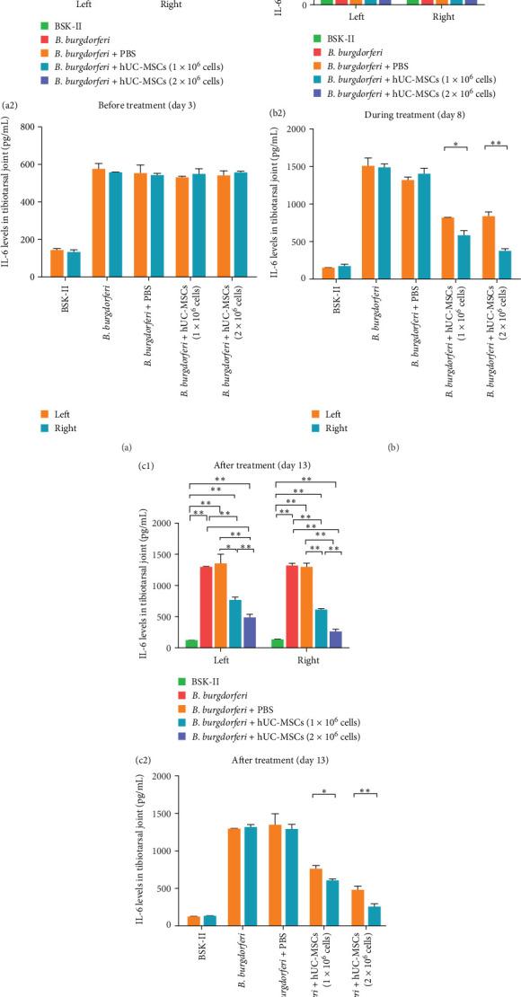 https://cdn.ncbi.nlm.nih.gov/pmc/blobs/9785/12321430/a20ac448ed20/SCI2025-4363386.007.jpg