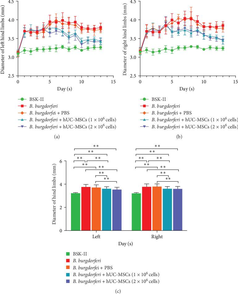 https://cdn.ncbi.nlm.nih.gov/pmc/blobs/9785/12321430/cc7f13be22e3/SCI2025-4363386.004.jpg