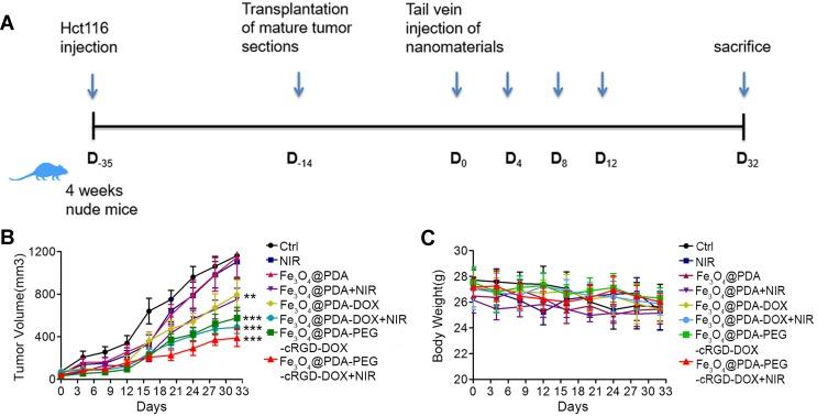 https://cdn.ncbi.nlm.nih.gov/pmc/blobs/9787/6901060/18fc7f212bc4/IJN-14-9631-g0009.jpg