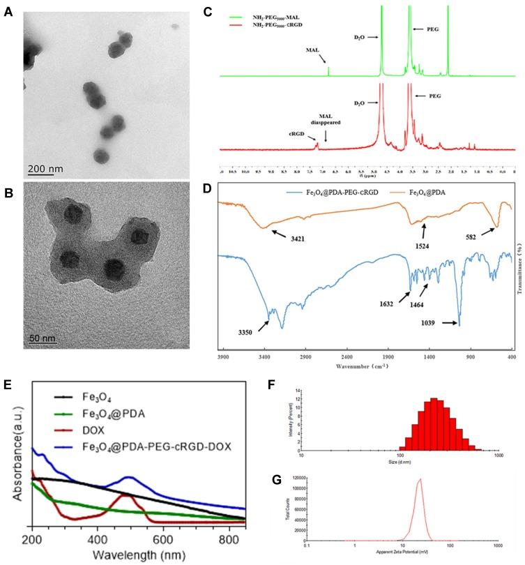 https://cdn.ncbi.nlm.nih.gov/pmc/blobs/9787/6901060/2a80436b51d5/IJN-14-9631-g0002.jpg