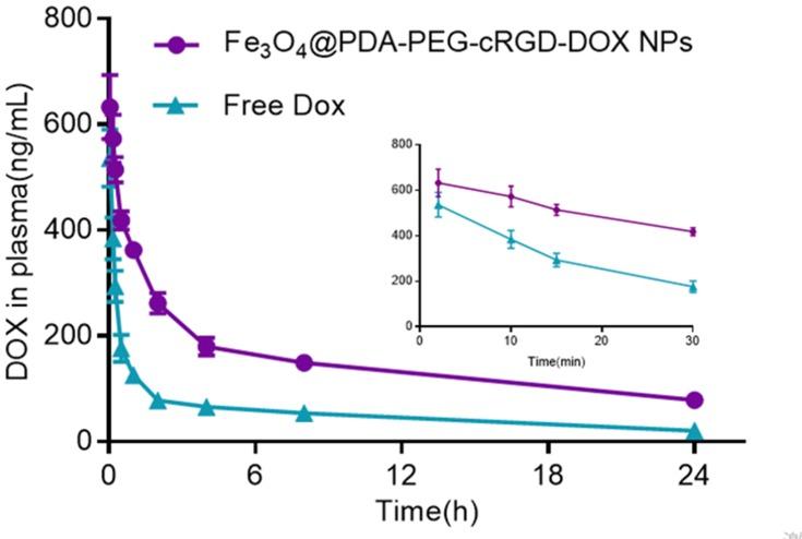 https://cdn.ncbi.nlm.nih.gov/pmc/blobs/9787/6901060/8f322f6c42e1/IJN-14-9631-g0008.jpg
