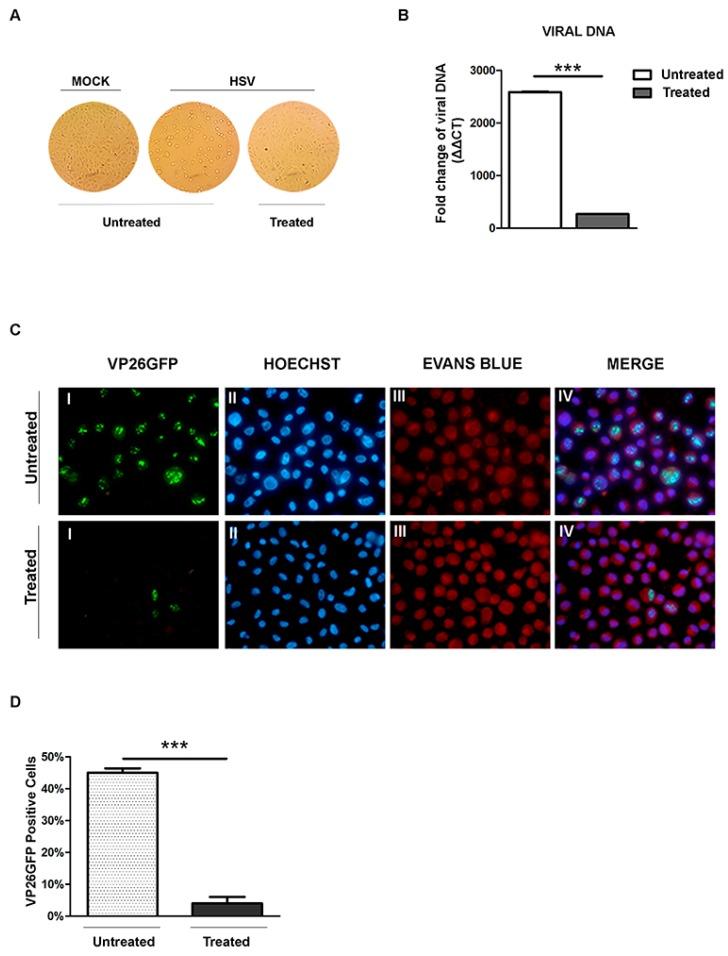 https://cdn.ncbi.nlm.nih.gov/pmc/blobs/9788/5537670/8730880084d2/viruses-09-00178-g005.jpg