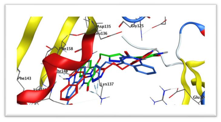 https://cdn.ncbi.nlm.nih.gov/pmc/blobs/9788/7672604/21b61094dbbd/molecules-25-05057-g015.jpg