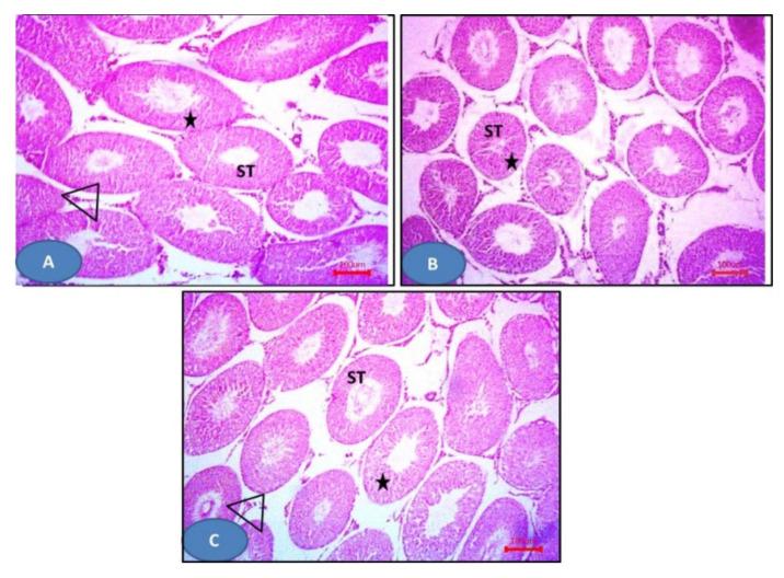 https://cdn.ncbi.nlm.nih.gov/pmc/blobs/9788/7672604/479fcf3df4d8/molecules-25-05057-g011.jpg
