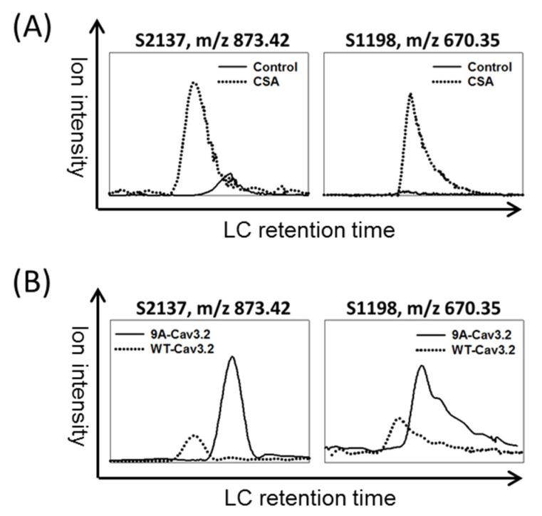 https://cdn.ncbi.nlm.nih.gov/pmc/blobs/9789/10669385/ea4399f9d73c/biomedicines-11-02891-g002.jpg