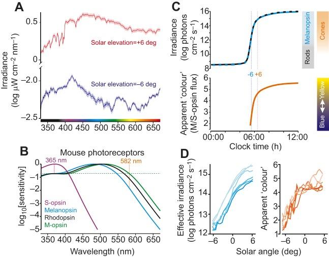 https://cdn.ncbi.nlm.nih.gov/pmc/blobs/978a/4920240/3abd29d87944/jexbio-219-132167-g2.jpg