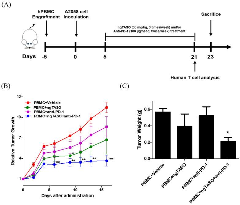 https://cdn.ncbi.nlm.nih.gov/pmc/blobs/978a/9654371/6edea21e502a/cancers-14-05220-g002.jpg
