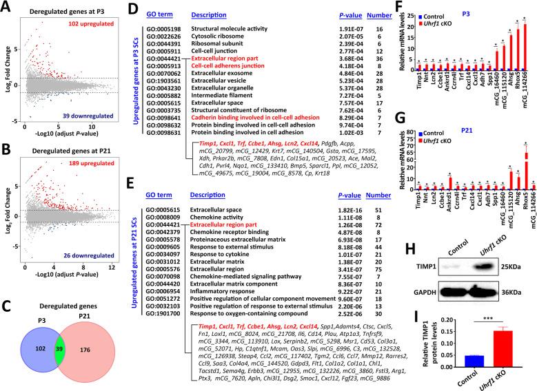 https://cdn.ncbi.nlm.nih.gov/pmc/blobs/978b/9018721/4d16400daab7/41419_2022_4837_Fig5_HTML.jpg