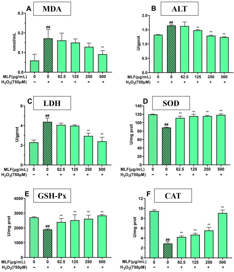 https://cdn.ncbi.nlm.nih.gov/pmc/blobs/978c/11173602/11a6d01148e7/molecules-29-02597-g005.jpg