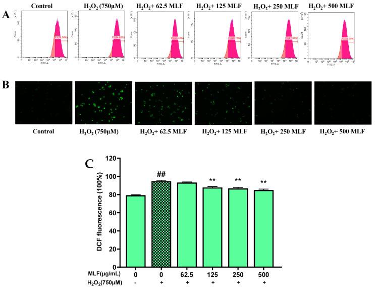 https://cdn.ncbi.nlm.nih.gov/pmc/blobs/978c/11173602/1b920e9e68a4/molecules-29-02597-g004.jpg