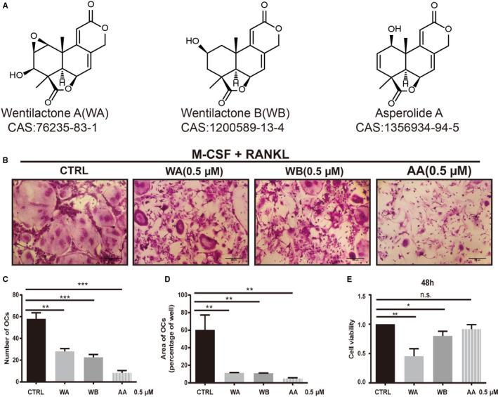 https://cdn.ncbi.nlm.nih.gov/pmc/blobs/978c/7643645/5ddd452841b4/CAM4-9-8173-g001.jpg