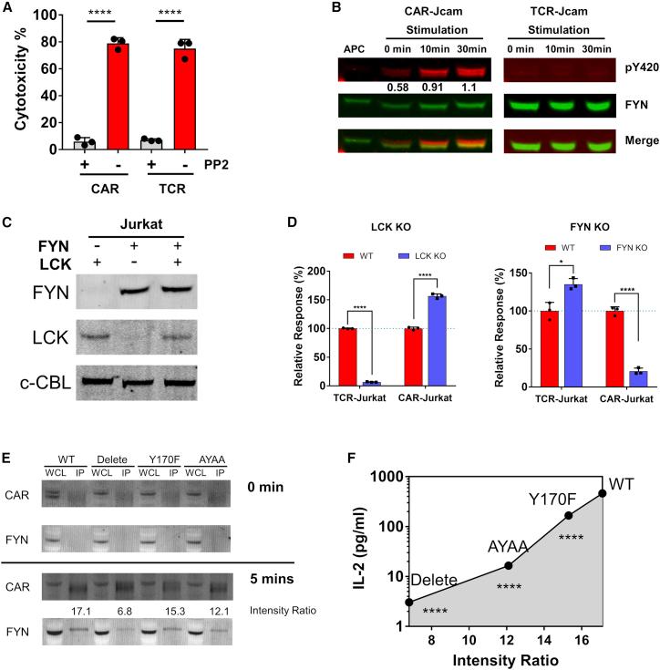 https://cdn.ncbi.nlm.nih.gov/pmc/blobs/978d/9975250/b5ac55fb203d/gr3.jpg