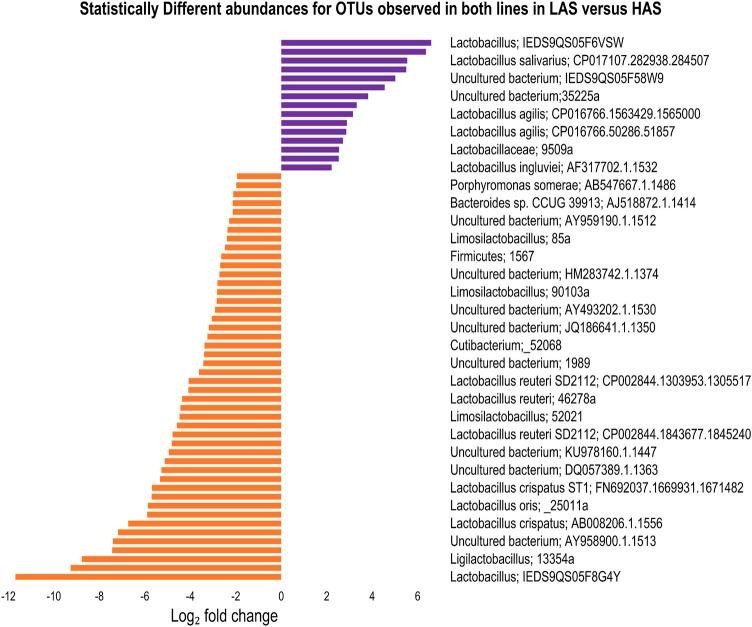 https://cdn.ncbi.nlm.nih.gov/pmc/blobs/9790/10800846/b0c925685b01/fphys-14-1304051-g006.jpg
