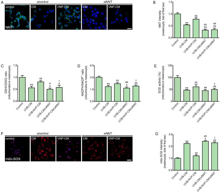https://cdn.ncbi.nlm.nih.gov/pmc/blobs/9792/9370691/81046ec073a9/molecules-27-04923-g002.jpg