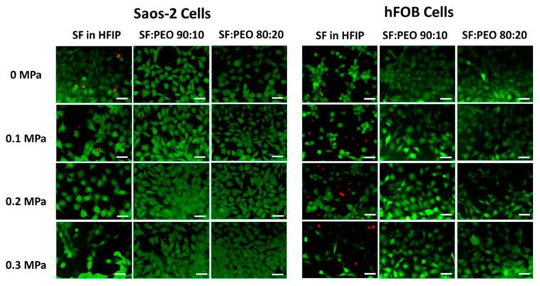 https://cdn.ncbi.nlm.nih.gov/pmc/blobs/9793/10007050/33e7713db73b/polymers-15-01253-g013.jpg
