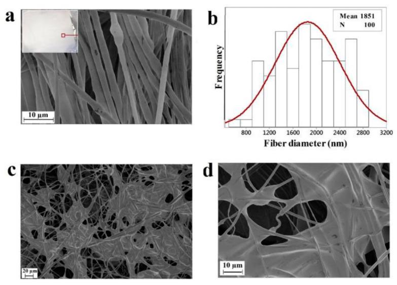https://cdn.ncbi.nlm.nih.gov/pmc/blobs/9793/10007050/35a2a94cc677/polymers-15-01253-g009.jpg