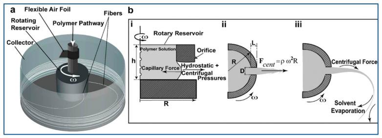 https://cdn.ncbi.nlm.nih.gov/pmc/blobs/9793/10007050/91c7e94acdfe/polymers-15-01253-g001.jpg