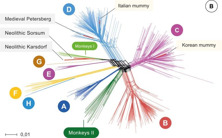 https://cdn.ncbi.nlm.nih.gov/pmc/blobs/9793/6008052/977b932ed5b0/elife-36666-fig2.jpg