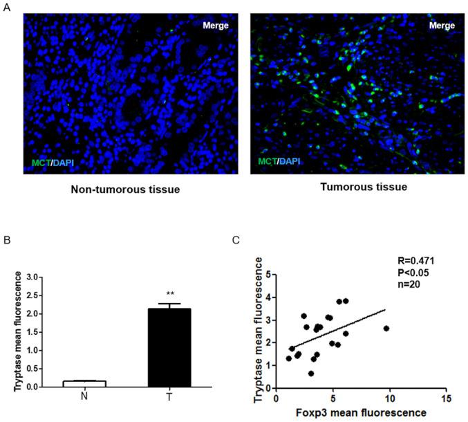 https://cdn.ncbi.nlm.nih.gov/pmc/blobs/9794/7590434/5bdfe45dfaf5/ol-20-06-12224-g00.jpg