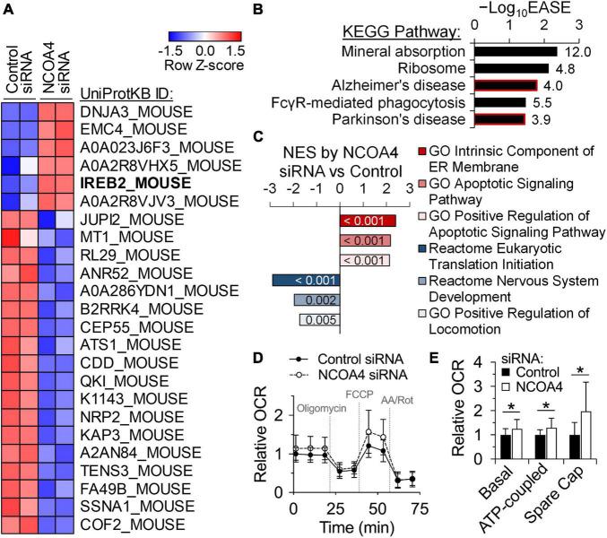 https://cdn.ncbi.nlm.nih.gov/pmc/blobs/9798/9892431/18487224546b/fnut-10-1054852-g003.jpg
