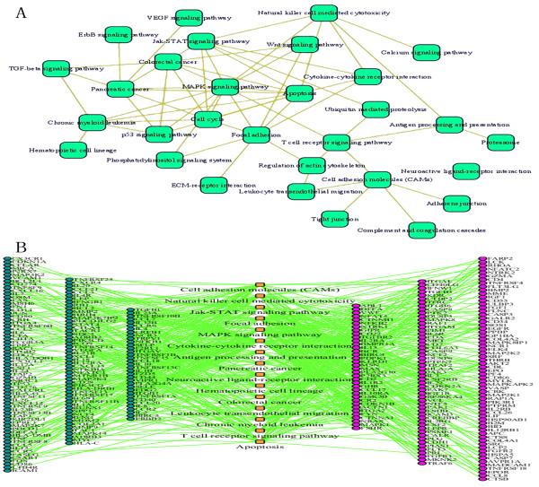 https://cdn.ncbi.nlm.nih.gov/pmc/blobs/979d/2939610/4f981e49da2f/1755-8794-3-38-2.jpg