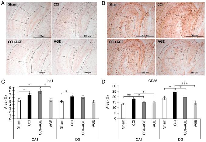 https://cdn.ncbi.nlm.nih.gov/pmc/blobs/979f/6445594/5e5ddea4fdfc/IJMM-43-05-2153-g02.jpg