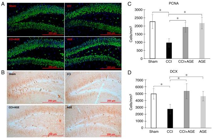 https://cdn.ncbi.nlm.nih.gov/pmc/blobs/979f/6445594/a60cf5482eac/IJMM-43-05-2153-g01.jpg