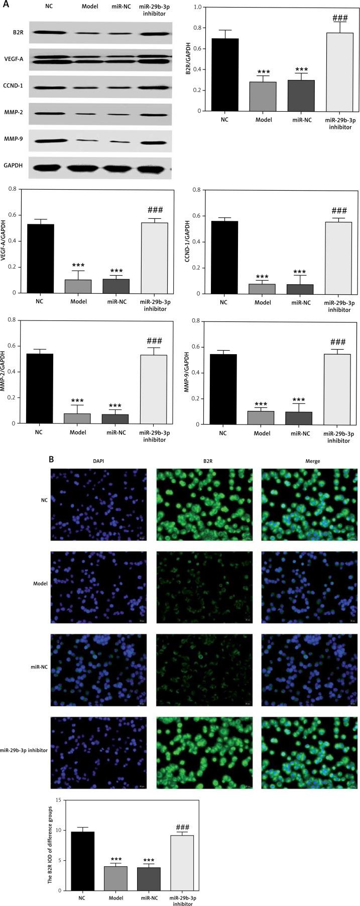 https://cdn.ncbi.nlm.nih.gov/pmc/blobs/979f/8924841/48c47cf9ad8f/AMS-18-2-109125-g005.jpg